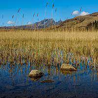 Buy canvas prints of Loch Cill Chriosd and Blaven by Richard Smith