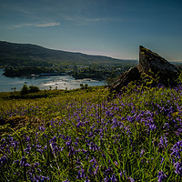 Buy canvas prints of Portree from a carpet of Bluebells on Ben Chracaig by Richard Smith