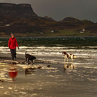 Buy canvas prints of Dog walking on the beach 'an Corran' at Staffin by Richard Smith