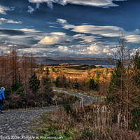 Buy canvas prints of Returning to the start of the forest road. by Richard Smith