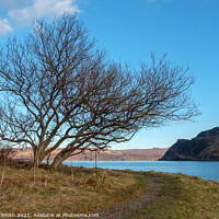 Buy canvas prints of The turning point of the circular Ben Chracaig footpath. by Richard Smith