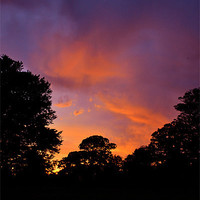 Buy canvas prints of Sunset - Kearsney by Chris Wooldridge