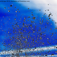Buy canvas prints of Water Dropletes by Chris Wooldridge