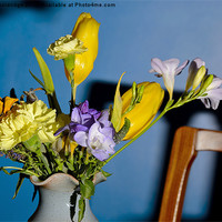 Buy canvas prints of Yellow and Purple flower mix by Chris Wooldridge