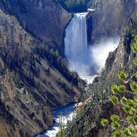 Buy canvas prints of Upper Falls, Yellowstone Park, U.S.A. by Andy Gilfillan