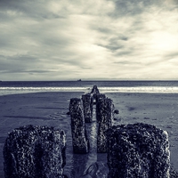 Buy canvas prints of Groynes at Aberdeen Beach by Vicky Mitchell