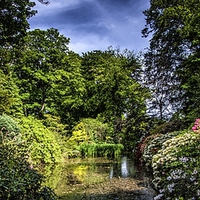 Buy canvas prints of Johnston Gardens by Vicky Mitchell