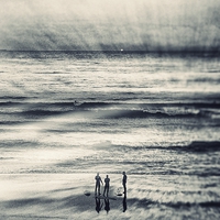 Buy canvas prints of 3 Surfers by Vicky Mitchell