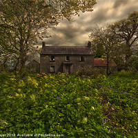 Buy canvas prints of Old irish house by Brian O'Dwyer