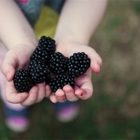 Buy canvas prints of Blackberry Time by Brian O'Dwyer