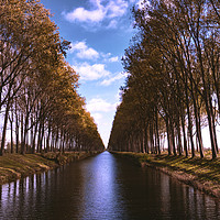 Buy canvas prints of Damme Canal by Brian O'Dwyer