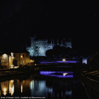 Buy canvas prints of castle on the river by Brian O'Dwyer