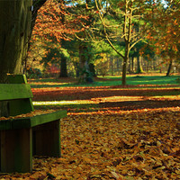 Buy canvas prints of The Lonesome bench by Mark Lee