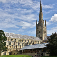 Buy canvas prints of Norwich Cathedral Norwich UK by Mark Lee