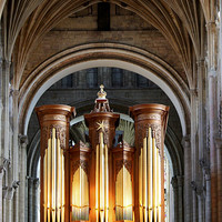 Buy canvas prints of The Pipes Of Norwich Cathedral by Mark Lee