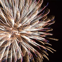 Buy canvas prints of fireworks by Fred Walters