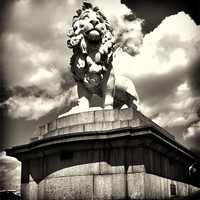 Buy canvas prints of The South Bank Lion 2 by Emma Ward