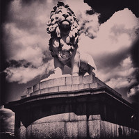 Buy canvas prints of The South Bank Lion 3 by Emma Ward