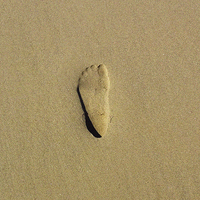 Buy canvas prints of Footprint In The Sand by Emma Ward