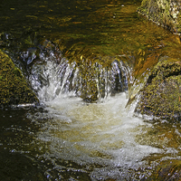 Buy canvas prints of Pistyll Rhaeadr collection 6 by Emma Ward