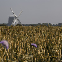 Buy canvas prints of Chillenden Windmill - Kent by Nigel Jones