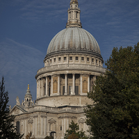 Buy canvas prints of  St Paul's Cathedral by Nigel Jones