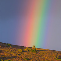 Buy canvas prints of Rainbow by Nigel Atkinson