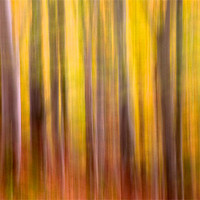 Buy canvas prints of Autumn colours by Nigel Atkinson