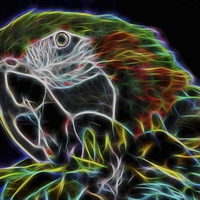 Buy canvas prints of  macaw by Mark Cake