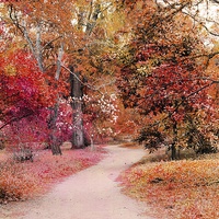 Buy canvas prints of  Autumn walk  by Mark Cake