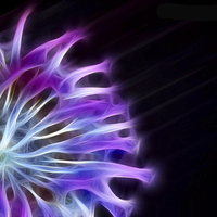 Buy canvas prints of Fractal Anemone by Michael Thompson