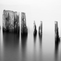 Buy canvas prints of Harbour posts by Michael Thompson