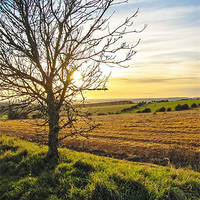 Buy canvas prints of Sunset View From Kithurst Hill, Sussex by Susan Godfrey