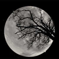 Buy canvas prints of moon? by Seth jones