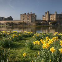 Buy canvas prints of Spring at Leeds Castle by Stuart Gennery