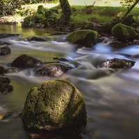 Buy canvas prints of River Fowey by Stuart Gennery