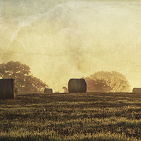 Buy canvas prints of Textured haybales by Stuart Gennery
