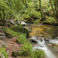 Buy canvas prints of Peaceful Dell by Stuart Gennery
