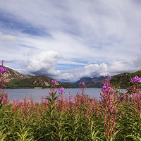 Buy canvas prints of  Ennerdale View by Stuart Gennery