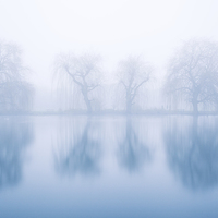 Ghostly Reflections