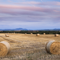 Buy canvas prints of  Cumbrian Harvest by Stuart Gennery