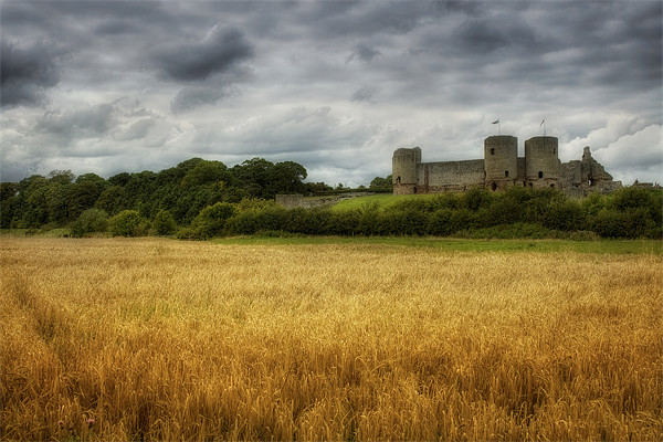 Rhuddlan Castle Picture Board by Ian Mitchell
