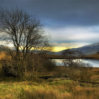 Buy canvas prints of Lake View by Ian Mitchell