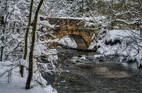 Snow Bridge Picture Board by Ian Mitchell