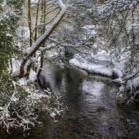 Buy canvas prints of Snowy River by Ian Mitchell
