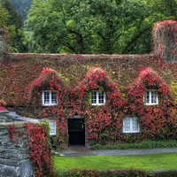 Buy canvas prints of Autumn Cottage by Ian Mitchell