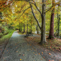 Buy canvas prints of Autumn Stroll by Ian Mitchell
