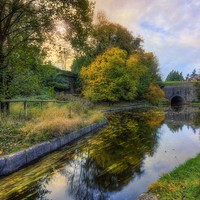 Buy canvas prints of Canal Drifting Leaves by Ian Mitchell