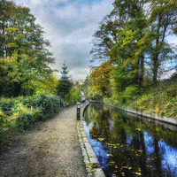 Buy canvas prints of Canal Walk by Ian Mitchell