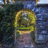 Buy canvas prints of Sunny Garden Arch by Ian Mitchell